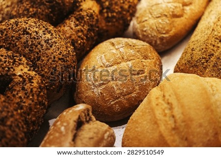 Assorted bread rolls in bakery. Brown loaves have seeded crusts. Round bread sits among rolls. Flour covers baked surfaces. Different bread shapes fill background. Fresh bakery products in closeup.