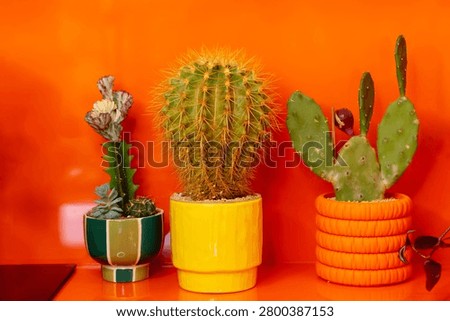 Assorted cacti displayed in bright decorative pots against a vibrant orange background. Indoor gardening and home decor concept featuring succulent plants and modern design.