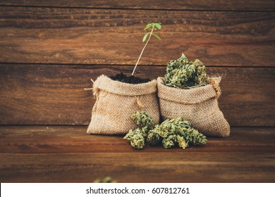  Assorted cannabis oil. medical marijuana concept