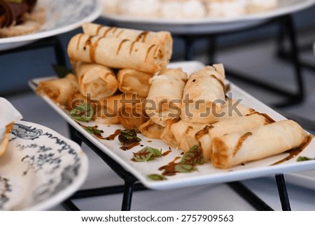 Assorted catering appetizer with crispy fried spring rolls and balsamic glaze on white platter for event or party decoration with no people close up