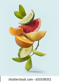 Assorted Citrus Fruit Still Life. Isolated Light Blue Background.