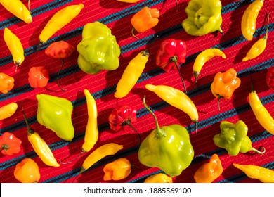 Assorted Colorful Chili Peppers In A Pattern On A Red Table Cloth (Overhead)