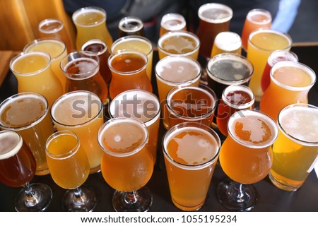 Assorted Craft Beer Varieties - IPA's, Stouts, Lagers, Sours and More