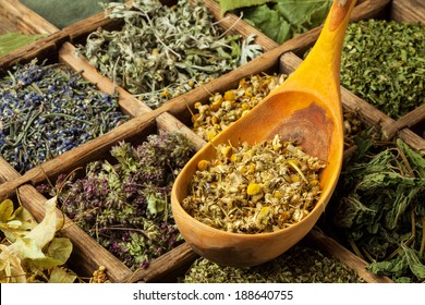 Assorted Dried Medical Herbs Tea.