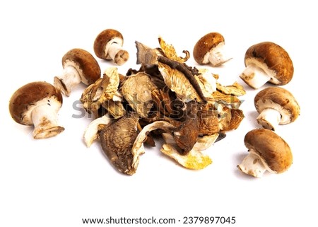 Assorted edible dried mushrooms isolated on white background.