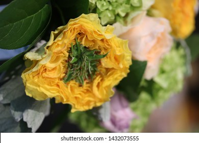  assorted flowers closeup