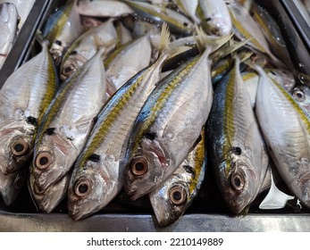 Assorted Fresh Fish Sold In The Traditional Market