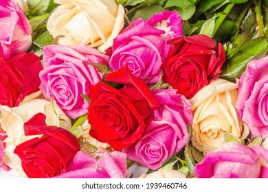 34,827 Assorted rose Images, Stock Photos & Vectors | Shutterstock