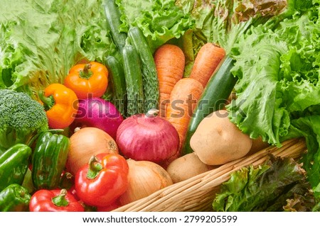 Assorted fresh vegetables arranged in a wicker basket including lettuce, carrots, potatoes, onions, broccoli, cucumbers and colorful bell peppers.