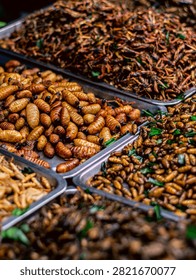 Assorted Fried Insects and Silkworm Pupae Trays Thai Street Food Market