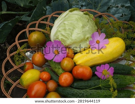 Assorted garden vegetables including cabbage, cucumbers, tomatoes, and zucchini displayed in a woven basket. Captures the freshness and vibrancy of homegrown produce. 