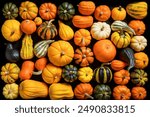 Assorted gourds in a box top view, flat lay 