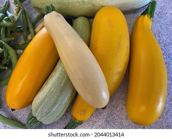 Assorted Gourds, Zucchini, Pumpkin And Winter Squash