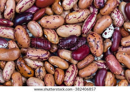 assorted kidney beans closeup