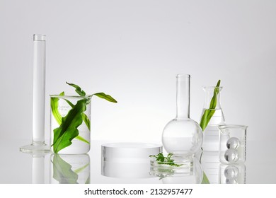 Assorted laboratory glassware equipment showcase with leaves on white backround. Stage showcase cosmetics on glass pedestal modern in laboratory equipment. - Shutterstock ID 2132957477