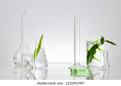 Assorted laboratory glassware equipment showcase with leaves on white backround. Stage showcase cosmetics on glass pedestal modern in laboratory equipment.