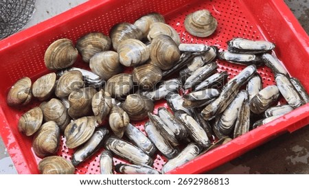 Assorted live shellfish displayed in a red perforated basket, representing freshness, simplicity, and the authentic feel of Korean coastal seafood markets.
