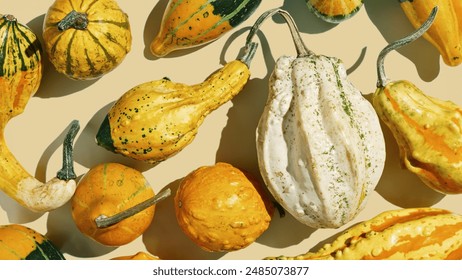 Assorted Mini Pumpkins in beige background, banner, natural colorful mini pumpkins and gourds, fall season still life photo, autumn aesthetic minimal style top view, autumnal vegetables textured image - Powered by Shutterstock