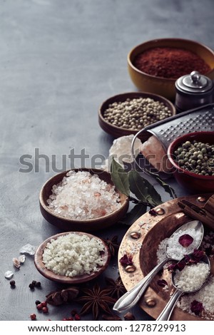 Assorted mixed global salts in a still life with black Hawaiian lava salt, Indus, Fleur de sel, Flor da Sal, Geurande salt, rock salt and sea salt with aromatic dried spice on grey with copy space