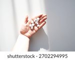 Assorted pills in a hand under diffused light. Aesthetic representation of healthcare and wellness.
