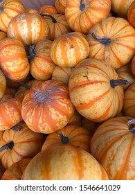 Assorted pumpkins in a bin