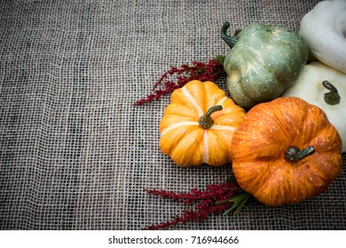 Assorted pumpkins on burlap background. Thanksgiving and autumn decoration 