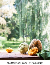 Assorted pumpkins and squashes on rustic wooden boards with an shinning autumn backdrop