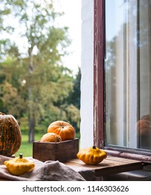 Assorted pumpkins and squashes on rustic wooden boards with an shinning autumn backdrop