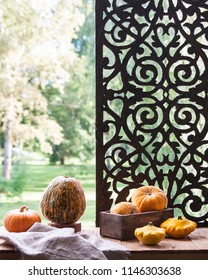 Assorted pumpkins and squashes on rustic wooden boards with an shinning autumn backdrop