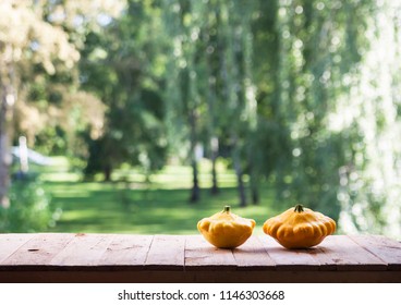 Assorted pumpkins and squashes on rustic wooden boards with an shinning autumn backdrop