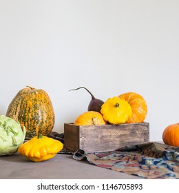 Assorted pumpkins and squashes on rustic wooden boards with an shinning autumn backdrop
