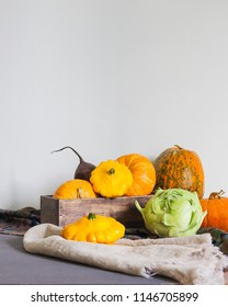 Assorted pumpkins and squashes on rustic wooden boards with an shinning autumn backdrop