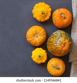 Assorted pumpkins and squashes on rustic wooden boards with an shinning autumn backdrop
