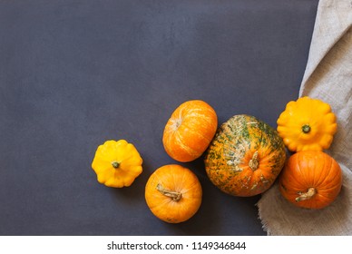 Assorted pumpkins and squashes on rustic wooden boards with an shinning autumn backdrop