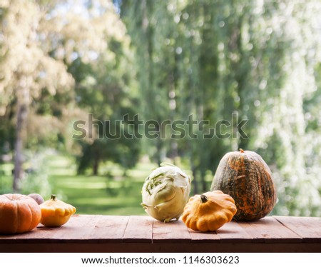Assorted pumpkins and squashes on rustic wooden boards with an shinning autumn backdrop