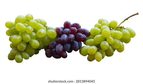 Assorted ripe grapes clusters on a clean white surface.Bunch of organic green and purple grapes cut out.Juicy sweet summer grapes variety isolated close up.Different types of fresh grapes over white background.