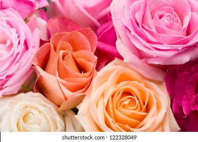 Assorted roses