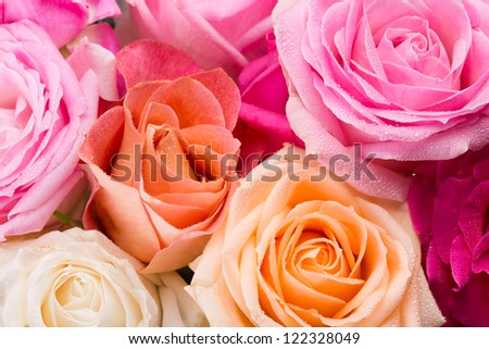 Similar – Image, Stock Photo Many pink flowers and raindrops on star globe leek with focus on center of umbellate inflorescence