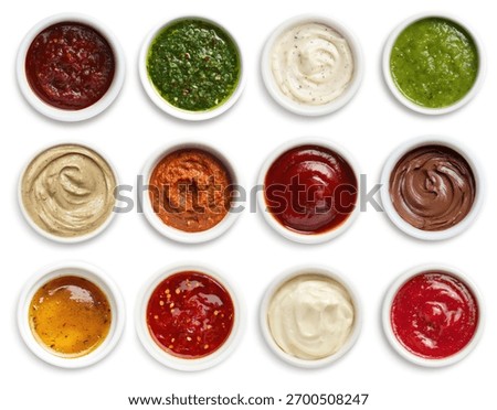 Assorted sauces in ramekin top view set and collection isolated on white background. BBQ sauce, garlic sauce, mayonnaise, guacamole, ketchup, salsa, ranch, mustard, buffalo. Dips set assorted set.