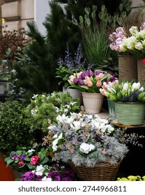 Assorted spring flowers in pots and baskets displayed outside florist shop. Tulips, primroses and greenery arranged in decorative containers on urban sidewalk.