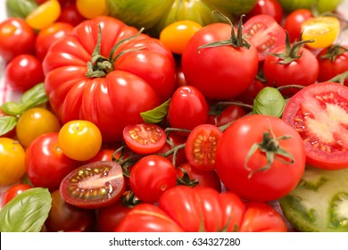 Assorted Variety Of Tomato