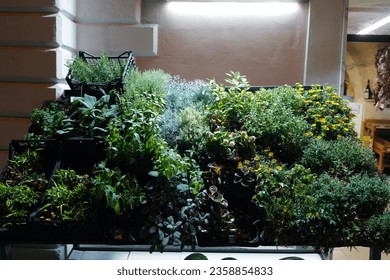 Assorted of vegetable and flower plants display in front of local grocery store