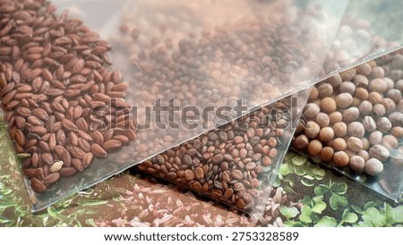 Assorted Vegetable Seeds in Plastic Packets for Microgreen Cultivation