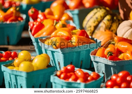 Assorted vegetables in cardboard boxes
