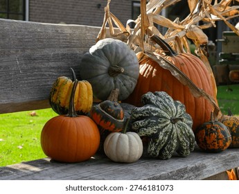 Assorted vibrant pumpkins and gourds create a festive autumn display resting on a weathered wooden surface outdoors.