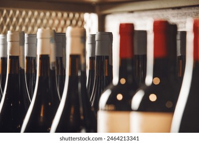 Assorted Wine Bottles Lined Up on Shelf in Cozy Wine Shop