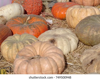 Assorted Winter Squash