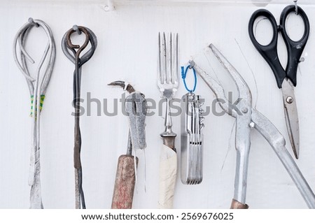 An assortment of antique tools, including scissors, are displayed on a white wall