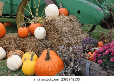 Assortment of Decorative Pumpkins on Haystack against Farm Equipment