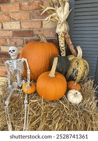An assortment of different pumpkins